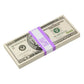 2000s Series $20 Full Print Prop Money Stack (100 Bills)